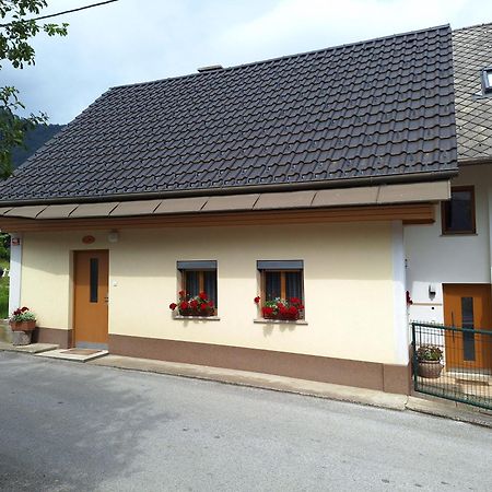 Apartma Pr Martin Begunje na Gorenjskem Exterior photo